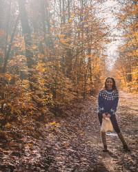 Mushroom Picking