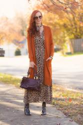 Turning Heads Tuesday- Leopard Dress for Any Season