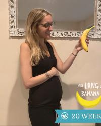 SECOND TRIMESTER Q&A