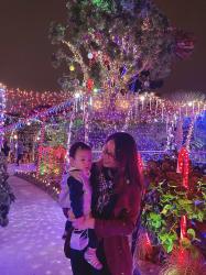 Where to See Christmas Lights in OC