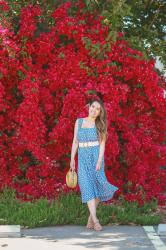 Spring Dress Under $40