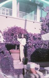 Beverly Hills Hotel on Film