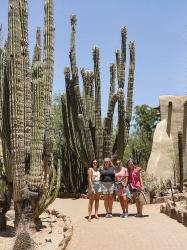 8 Day Itinerary In Arizona