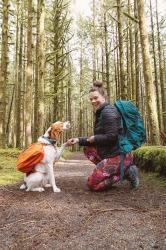 Guide to Hiking with Your Dog