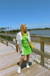 Look Nº 657 - The Pandemic Diary!