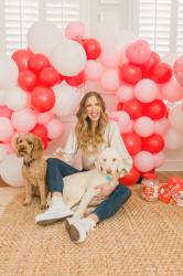 7 Ways To Spoil Your Dog This Valentine’s Day