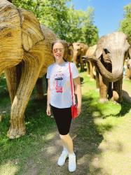 100 Life Size Elephants Spotted In London