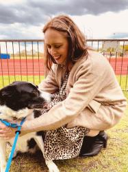 The Last Chapter: Mollie The Border Collie