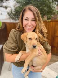 MEET CIDER