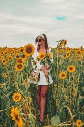 IN THE SUNFLOWER FIELD