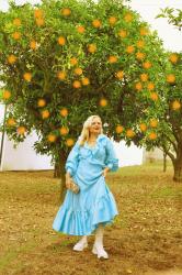 Look Nº     - The Orange Trees Orchard!