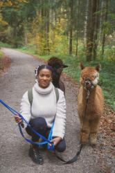 Walking with Alpacas through Switzerland