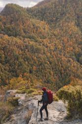 Il Cammino delle Foreste Sacre: il nostro racconto!