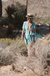 2f
Joshua Tree Guide With Toddler