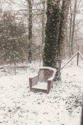 A Long Winter's Rest