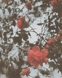 On Moving On