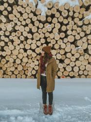 Winter log stack