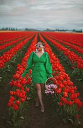 5 TIPS FOR PLANNING YOUR TRIP TO THE SKAGIT VALLEY TULIP FESTIVAL IN MT VERNON WASHINGTON