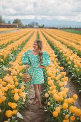 Roozengaarde Tulip Field in Mt. Vernon Washington