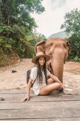 An Unforgettable Experience with Elephant Nature Park