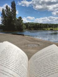 What I've Been Reading, Watching And Listening To // June