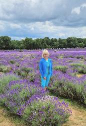 Lavender Fields Forever