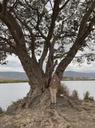 Ngorongoro