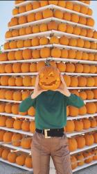 I giardini delle Zucche, i Pumpkin Patch americani in Italia: ecco dove sono, tutti gli indirizzi!