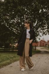 Everlane The Way High Drape Pant Outfit