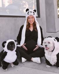 Easy Maternity Halloween Costumes: Mama Bear