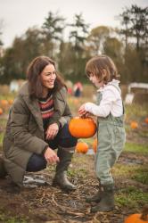 Pumpkin Picking