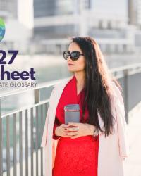 COP27: What is it? How can I participate?