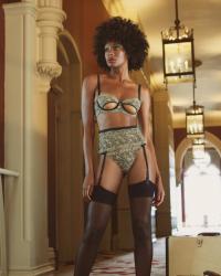 Lingerie Brands To Know!