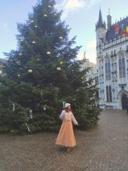 Estas son las direcciones que necesitas en tu próximo viaje a Bélgica (2023)
