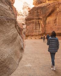 Excursión a Petra con MSC Splendida