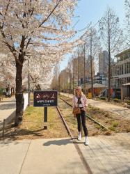Récit de voyage en Corée du sud #35: Gyeongui line book street et Sinchon