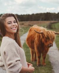 Baslow Edge & Highland Cows