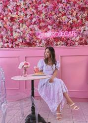 Pink Rose Cafe + Ballerina Dress In Lilac Lace