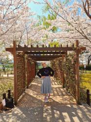 Récit de voyage #37: Jinhae