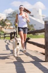 Guide to Running with Your Dog: Helpful Tips for Beginners