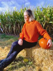 Pick Your Own Pumpkins In Nottingham