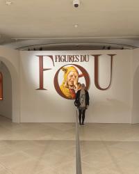 Les figures du fou
