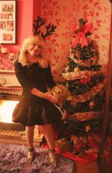 Look Nº 861 - The Lords of War at Christmas Time!
