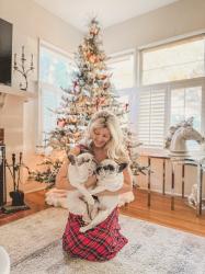 Happy Happy, Merry Merry Christmas!