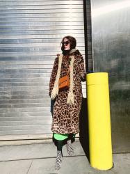 A Wild Look For NYFW Fall/Winter 2025