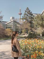 Los jardines botánicos de Fráncfort