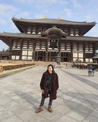 {travel} A Morning with the Sacred Bowing Deer of Nara
