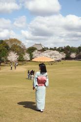 Japan Diary #4: Nara