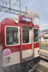 Japan Diary #5: Mount Yoshino