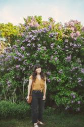 Lilacs in June